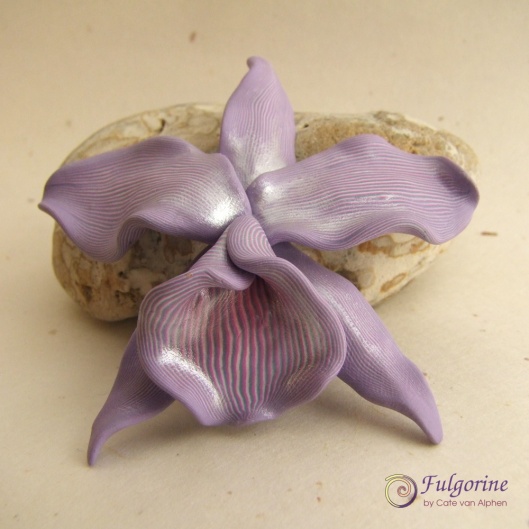 Purple pinstripe orchid by Cate van Alphen